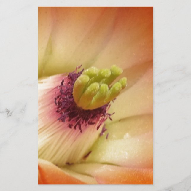 Orange Cactus Flower Stationery (Front)