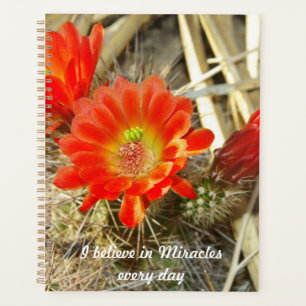 Orange Cactus Flower, the Miracle of New Mexico Planner