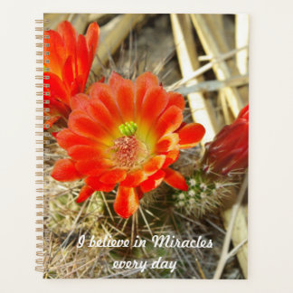 Orange Cactus Flower, the Miracle of New Mexico Planner