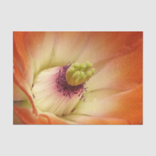 Orange Cactus Flower Tissue paper