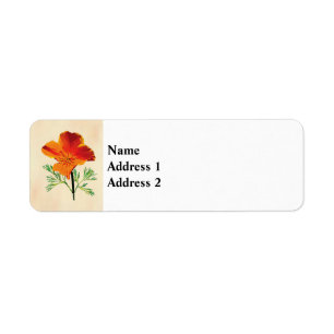 Orange California Poppy