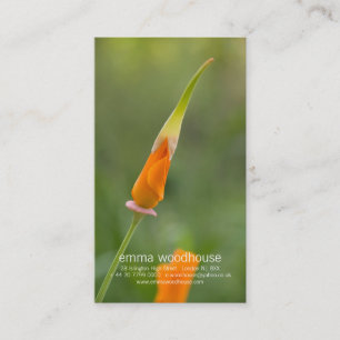 Orange California Poppy Bud Business Card