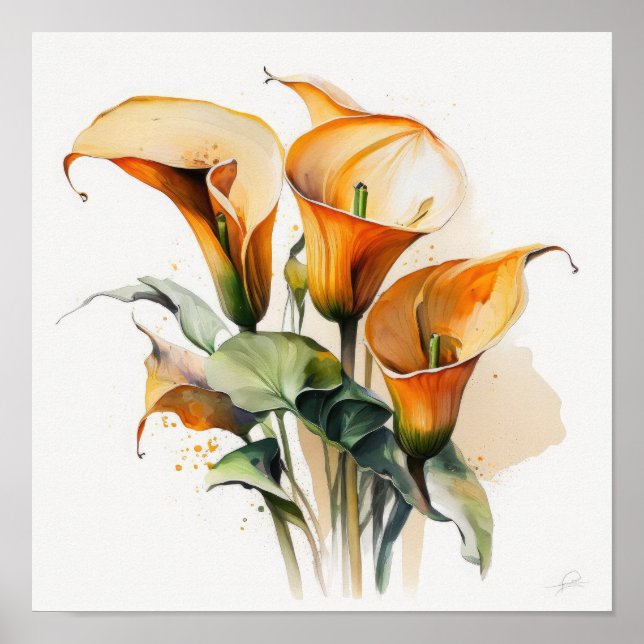 Orange Calla Lilies Lily Flower Art Print Poster (Front)