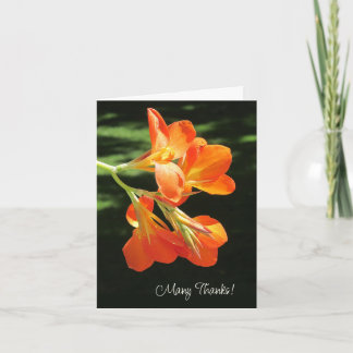 Orange Canna Lily Blank Thank You Card