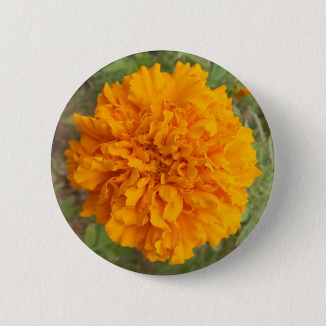Orange Carnation button (Front)