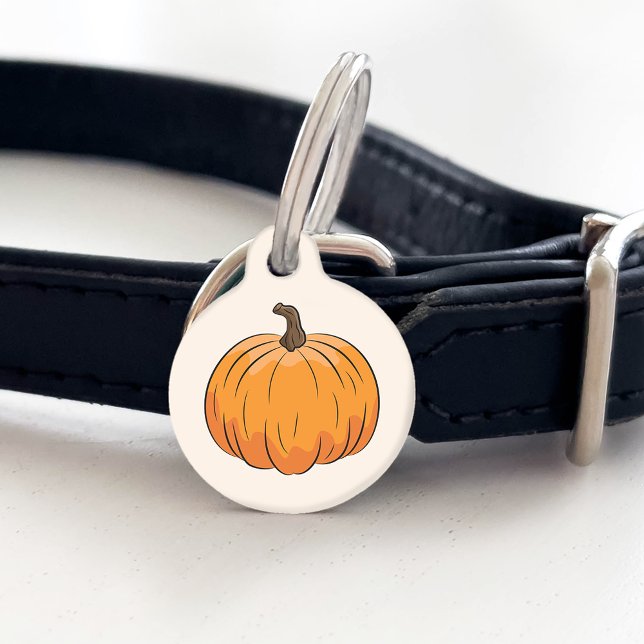 Orange Cartoon Autumn Pumpkin Illustration Pet Tag (Front)