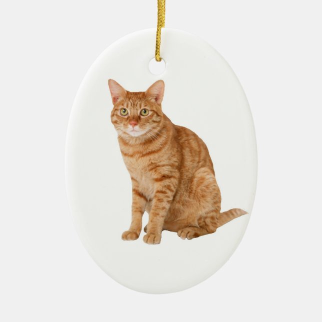 Orange Cat Ceramic Ornament (Front)