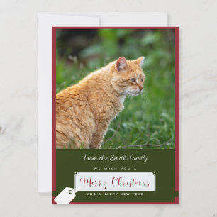 Orange Cat Christmas Card