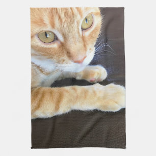 Orange cat closeup kitchen towel