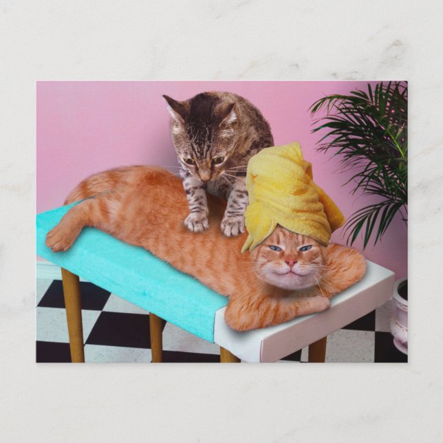Orange cat enjoying a massage by a cat postcard (Front)