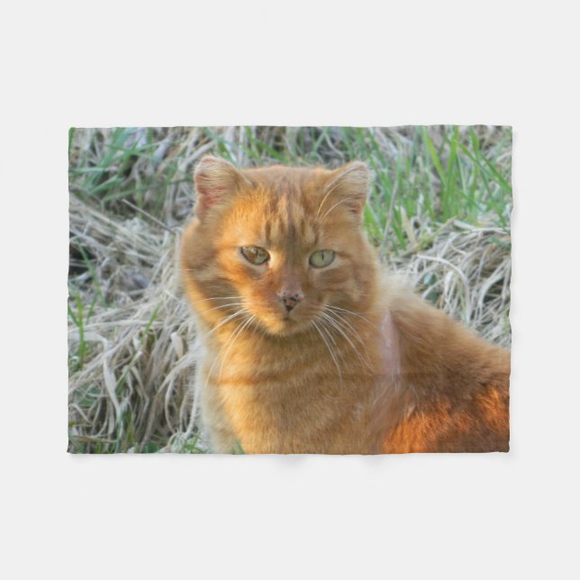 orange cat fleece blanket (Front (Horizontal))