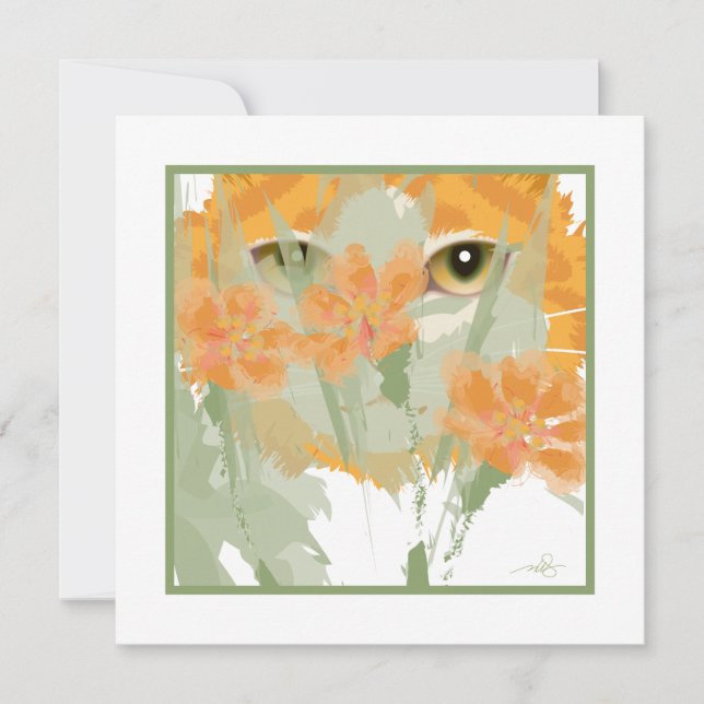 Orange Cat Foliage Peeper (Front)