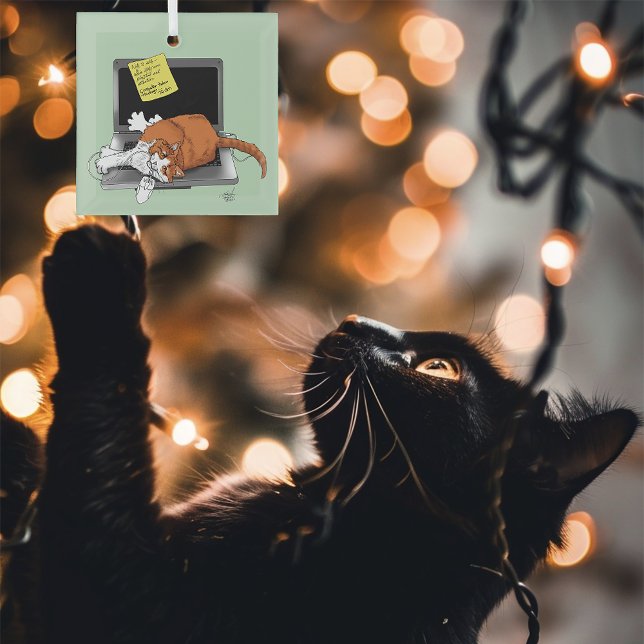 Orange Cat Funny Laptop Glass Ornament (Creator Uploaded)