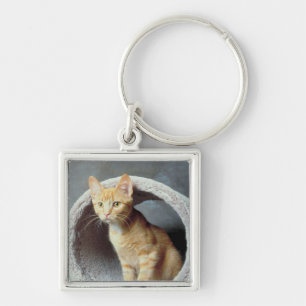 Orange Cat in Toy Keychain
