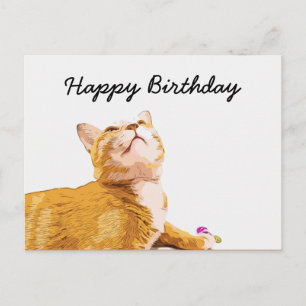 Orange cat is on white background birthday postcard