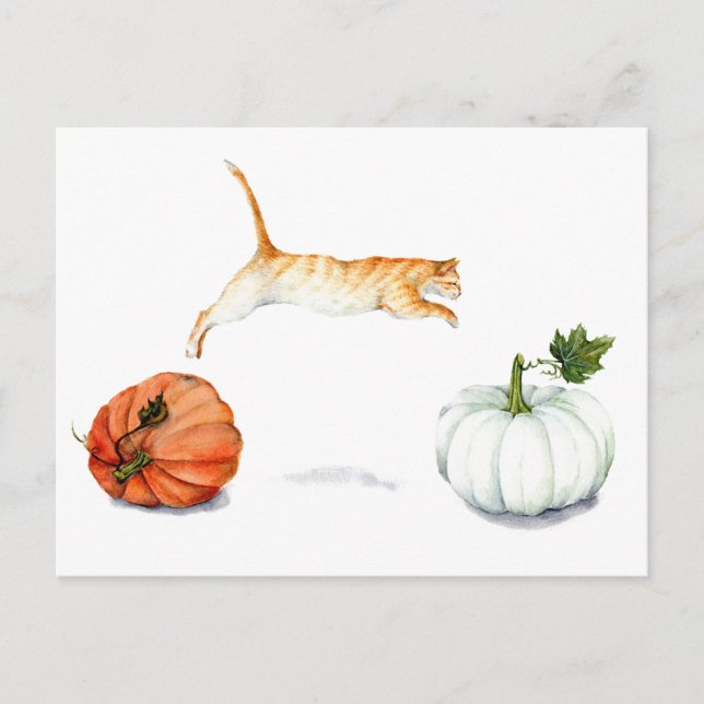 Orange Cat Jumping Between Pumpkins Postcard (Front)