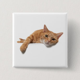 Orange Cat Laying Down 2 Inch Square Button