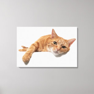 Orange Cat Laying Down Canvas Print