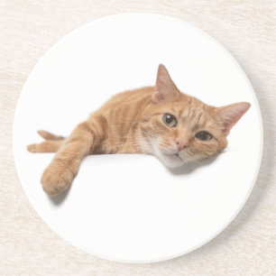 Orange Cat Laying Down Coaster