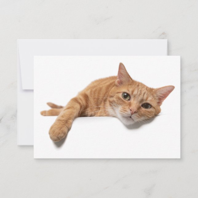 Orange Cat Laying Down Invitation (Front)