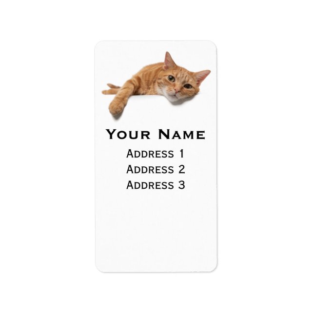 Orange Cat Laying Down Label (Front)