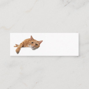 Orange Cat Laying Down Mini Business Card