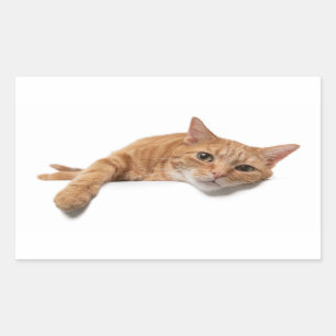 Orange Cat Laying Down Sticker