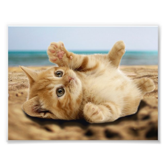 Orange cat lying on the sand photo print (Front)