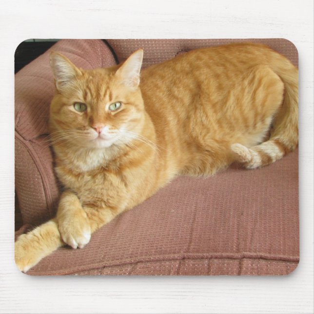 orange cat mouse pad (Front)
