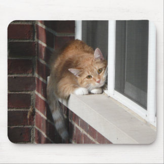 Orange Cat Mouse Pad