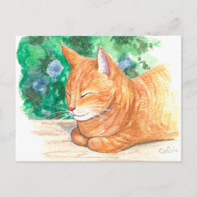 "Orange Cat Relaxing." Postcard (Front)