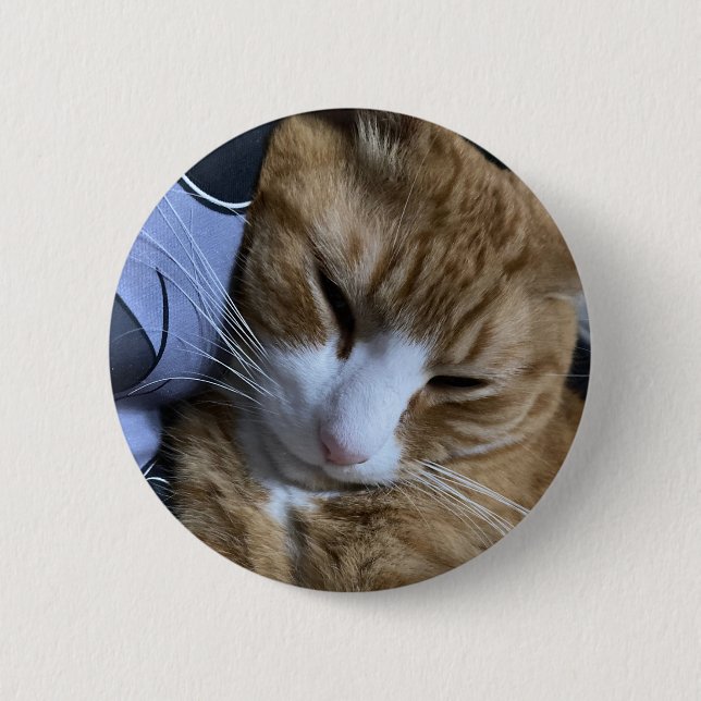 Orange Cat Sleeping 2 Inch Round Button (Front)