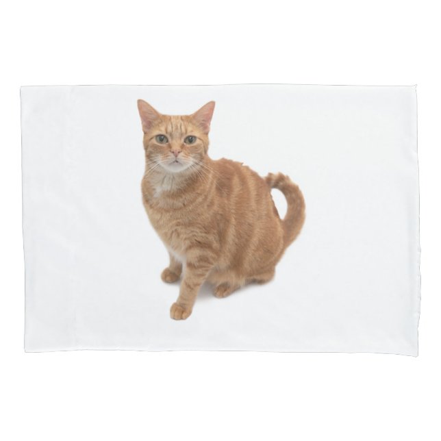 Orange Cat Standing Pillowcase (Front)