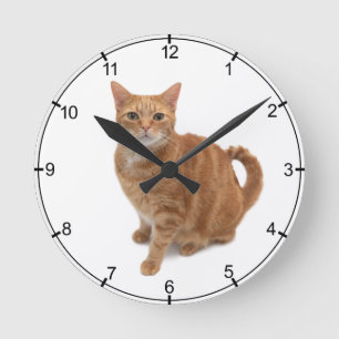 Orange Cat Standing Round Clock