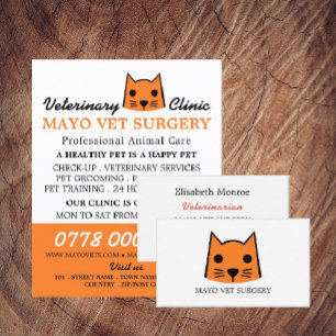 Orange Cat, Veterinarian, Veterinary Service Flyer