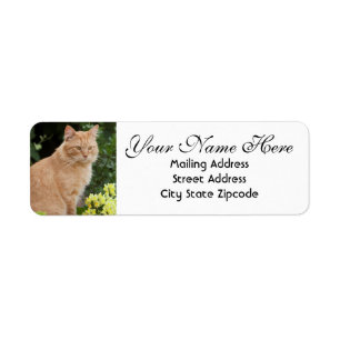 Orange Cat with Flowers Adresse de retour