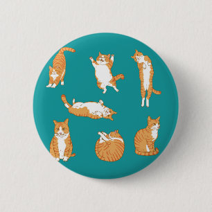  Orange Cats Funny 2 Inch Round Button