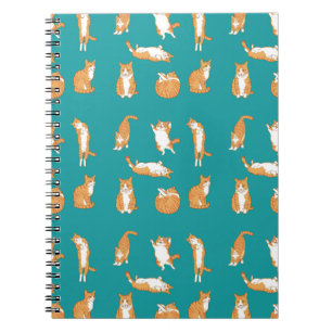 Orange Cats Funny Notebook