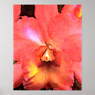 Orange Cattleya Orchid Poster