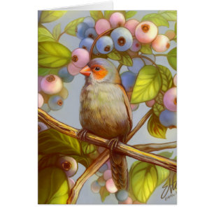 Orange cheeked waxbill finch with blueberries