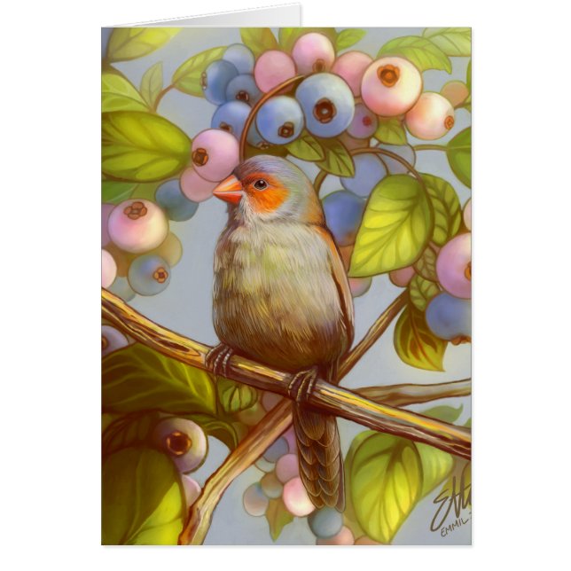 Orange cheeked waxbill finch with blueberries (Front)