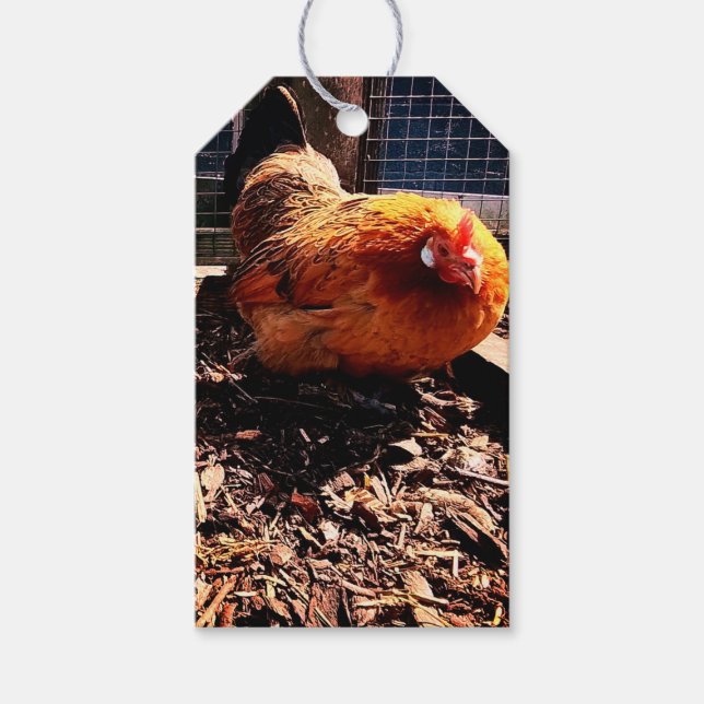 Orange chicken gift tags (Front)