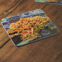 Orange Chicken of the Woods Mushroom