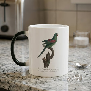 Orange-Chinned Parakeet, Brotogeris jugularis Magic Mug