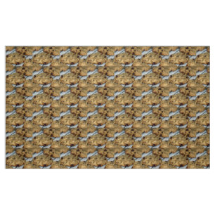 Orange Chocolate Chip Cookies Fabric