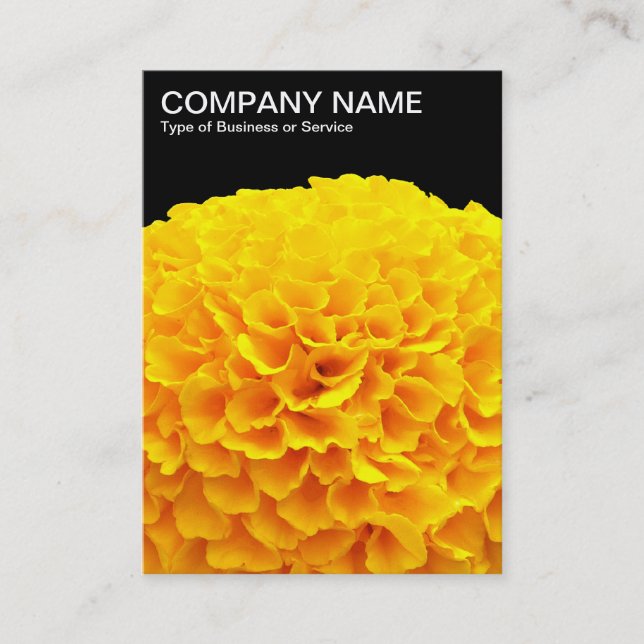 Orange Chrysanthemum - Black Business Card (Front)