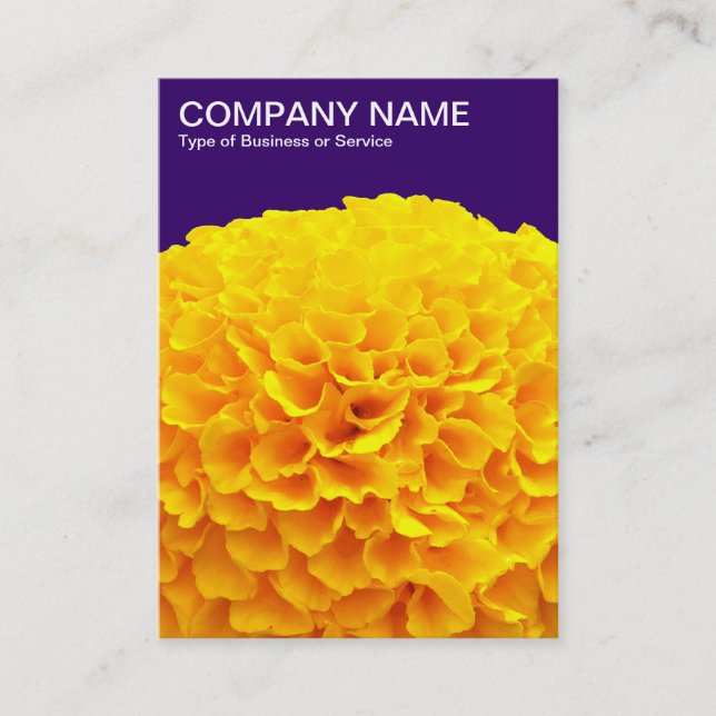 Orange Chrysanthemum - Deep Purple Business Card (Front)