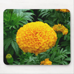 Orange Chrysanthemum Mouse Pad