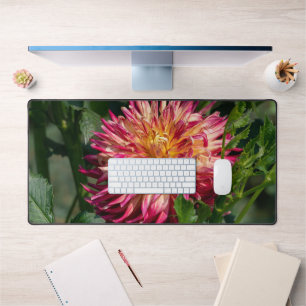 Orange Chrysanthemum Photographie, Fleur canadienn