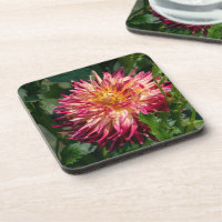 Orange Chrysanthemum Photography, Canadian Beauty
